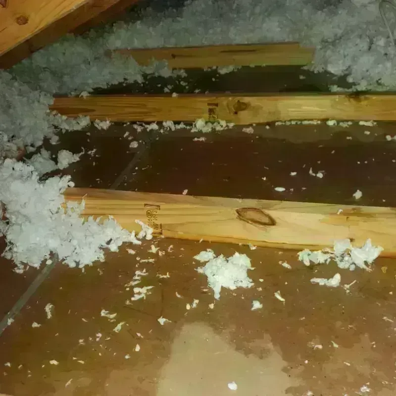 Attic Water Damage in West Hammond, NM