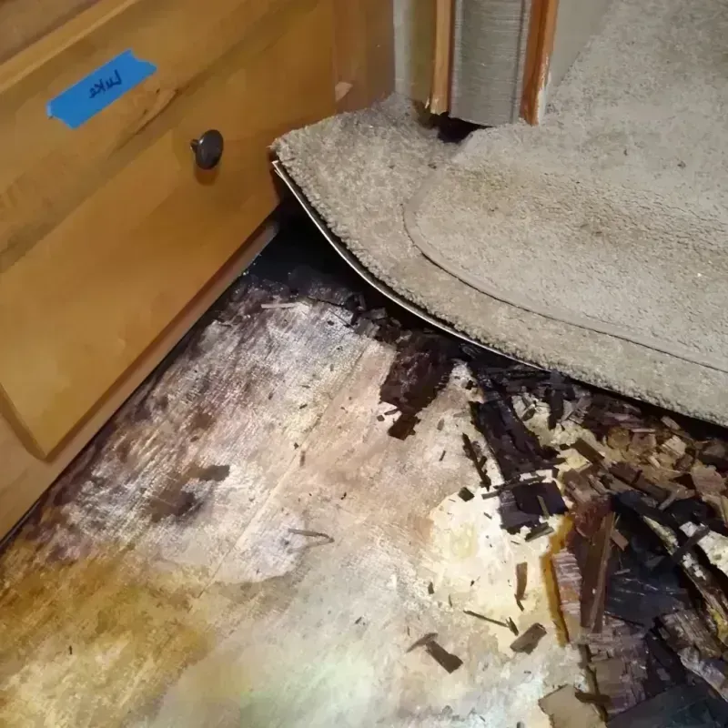 Best Wood Floor Water Damage Service in West Hammond, NM